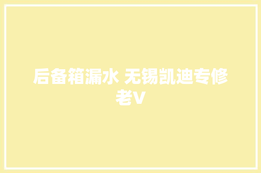 后备箱漏水 无锡凯迪专修老V