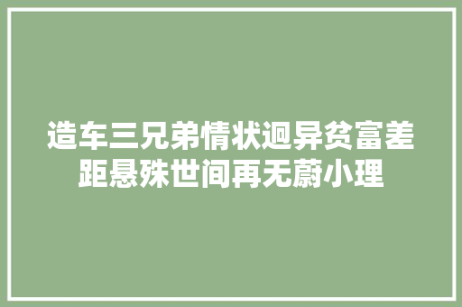 造车三兄弟情状迥异贫富差距悬殊世间再无蔚小理