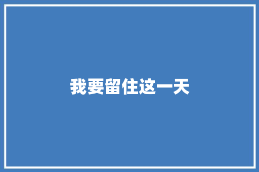 我要留住这一天