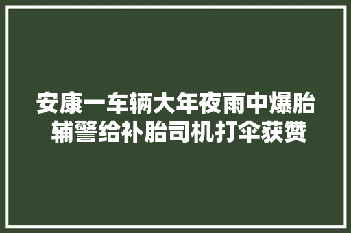 安康一车辆大年夜雨中爆胎 辅警给补胎司机打伞获赞