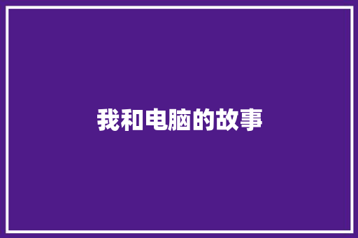 我和电脑的故事