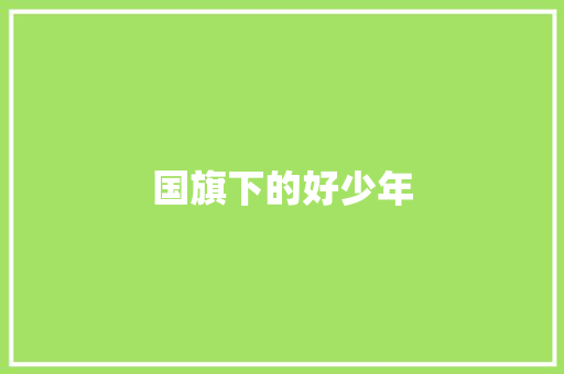 国旗下的好少年