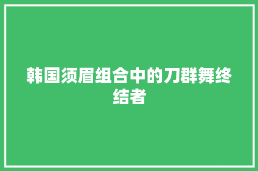 韩国须眉组合中的刀群舞终结者 休闲娱乐