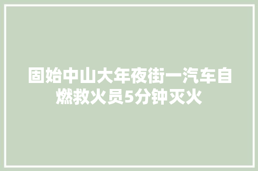 固始中山大年夜街一汽车自燃救火员5分钟灭火