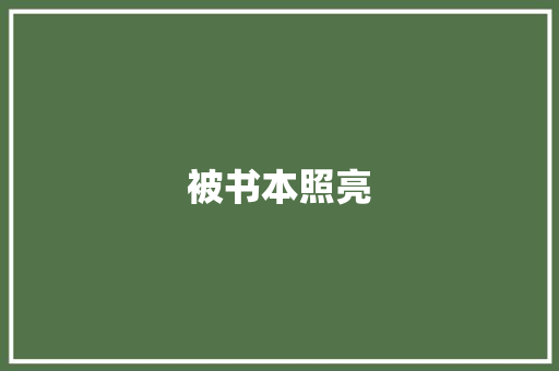 被书本照亮