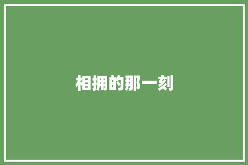 相拥的那一刻