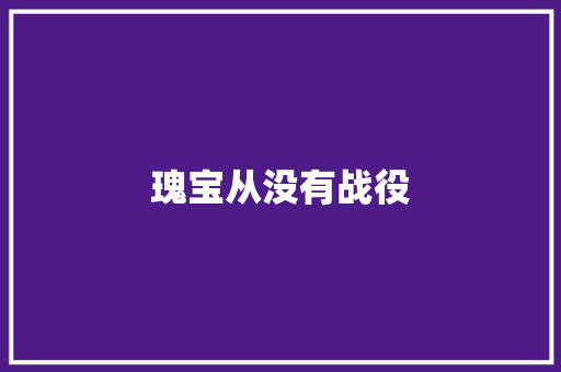 瑰宝从没有战役