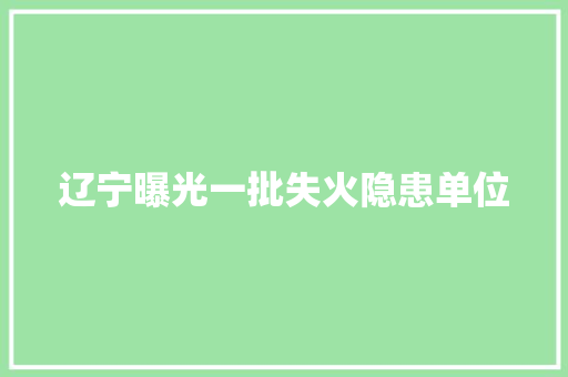 辽宁曝光一批失火隐患单位