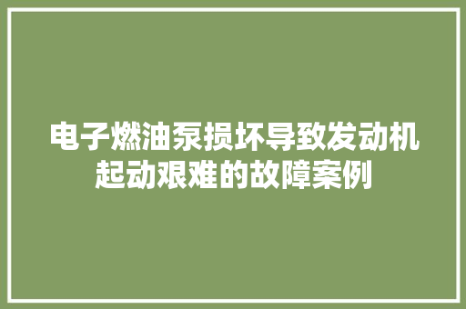 电子燃油泵损坏导致发动机起动艰难的故障案例