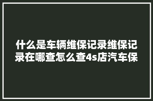 什么是车辆维保记录维保记录在哪查怎么查4s店汽车保