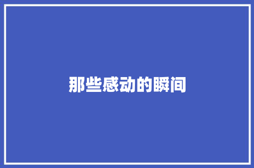 那些感动的瞬间
