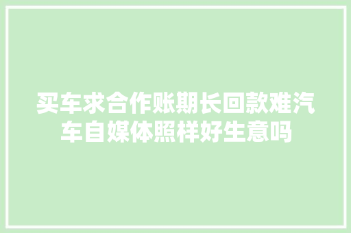 买车求合作账期长回款难汽车自媒体照样好生意吗