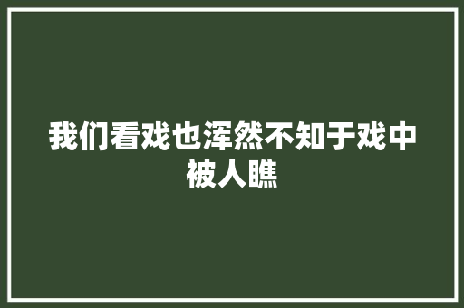 我们看戏也浑然不知于戏中被人瞧