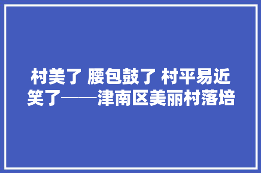 村美了 腰包鼓了 村平易近笑了──津南区美丽村落培植扫描