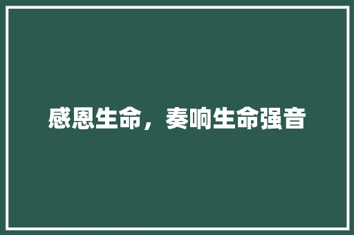 感恩生命，奏响生命强音