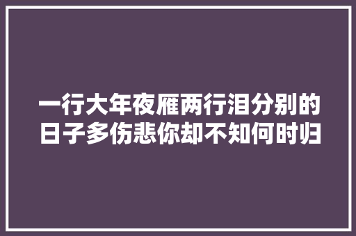 一行大年夜雁两行泪分别的日子多伤悲你却不知何时归