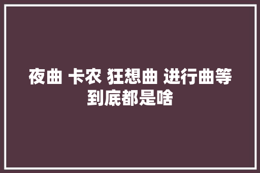夜曲 卡农 狂想曲 进行曲等到底都是啥