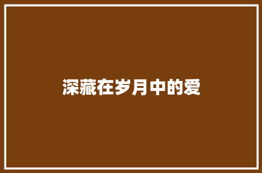 深藏在岁月中的爱