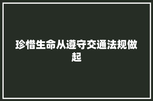 珍惜生命从遵守交通法规做起