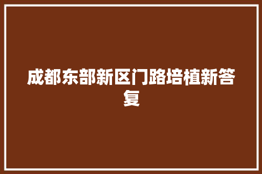 成都东部新区门路培植新答复