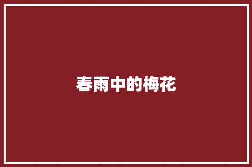 春雨中的梅花