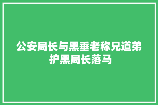 公安局长与黑垂老称兄道弟 护黑局长落马
