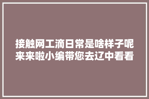 接触网工滴日常是啥样子呢来来啦小编带您去辽中看看吧