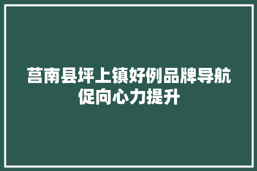 莒南县坪上镇好例品牌导航促向心力提升