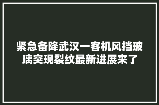紧急备降武汉一客机风挡玻璃突现裂纹最新进展来了