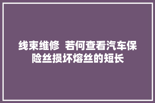 线束维修  若何查看汽车保险丝损坏熔丝的短长
