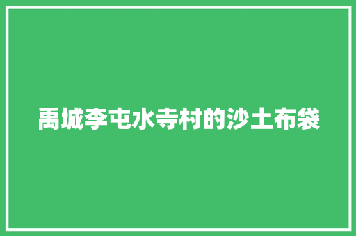 禹城李屯水寺村的沙土布袋
