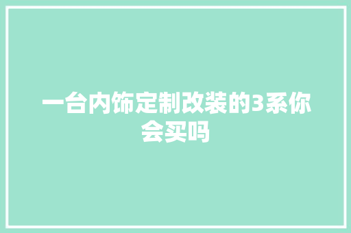 一台内饰定制改装的3系你会买吗