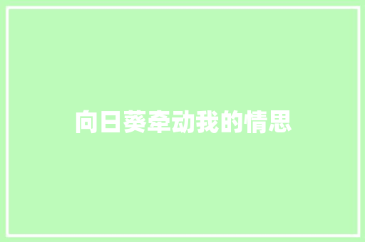向日葵牵动我的情思
