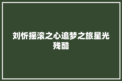 刘忻摇滚之心追梦之旅星光残酷
