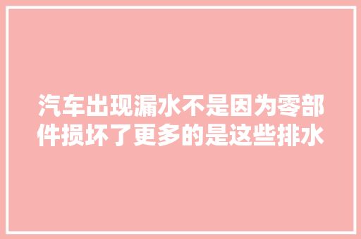 汽车出现漏水不是因为零部件损坏了更多的是这些排水孔堵塞了