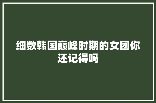 细数韩国巅峰时期的女团你还记得吗