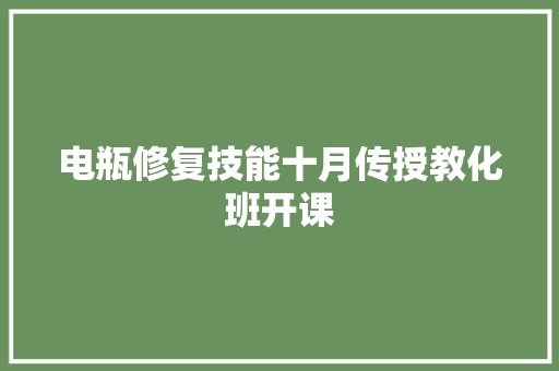 电瓶修复技能十月传授教化班开课