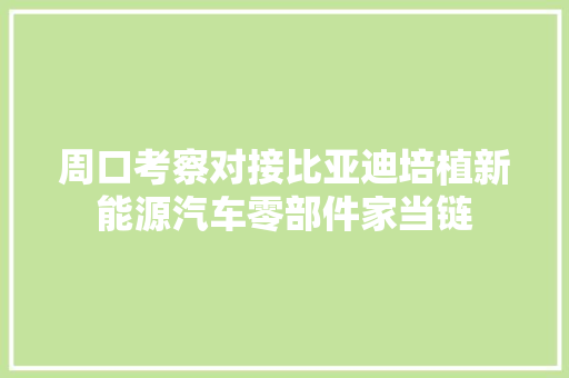 周口考察对接比亚迪培植新能源汽车零部件家当链