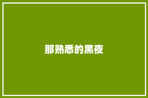 那熟悉的黑夜