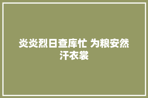 炎炎烈日查库忙 为粮安然汗衣裳