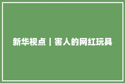 新华视点｜害人的网红玩具