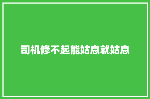 司机修不起能姑息就姑息