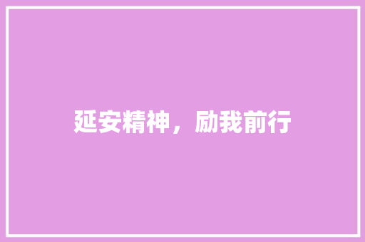 延安精神，励我前行