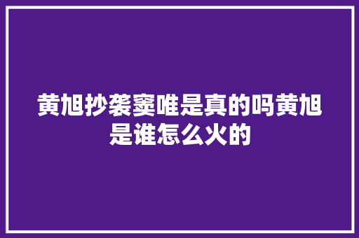 黄旭抄袭窦唯是真的吗黄旭是谁怎么火的
