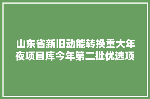 山东省新旧动能转换重大年夜项目库今年第二批优选项目127个