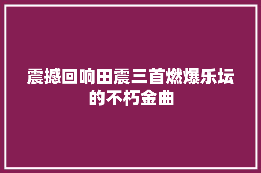 震撼回响田震三首燃爆乐坛的不朽金曲