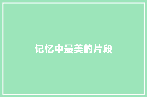 记忆中最美的片段