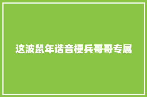 这波鼠年谐音梗兵哥哥专属