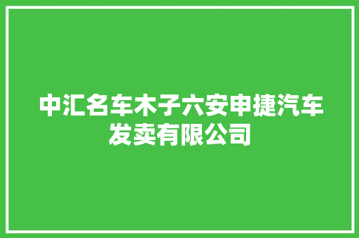中汇名车木子六安申捷汽车发卖有限公司