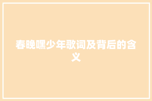 春晚嘿少年歌词及背后的含义